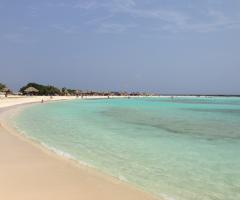 Silvia Baraldi - Musement Personal Travel Agent - L'organizzazione del viaggio di nozze a Ferrara