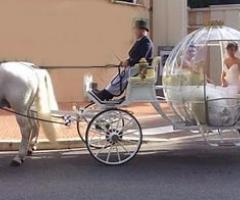 Nozze da favola - Il matrimonio in carrozza a Reggio Emilia