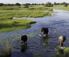 Roberto Di Francesco Consulente CartOrange - Okawango - Botswana