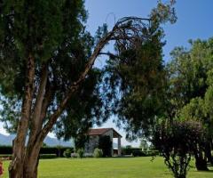 Giardino della villa per il matrimonio a Vicenza