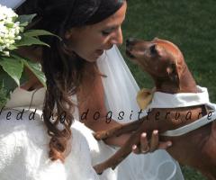 Con la sposa - Wedding dogsittervarese
