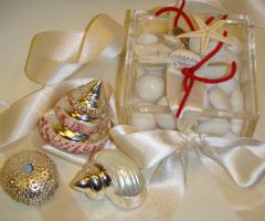 Conchiglie vere ricoperte di argento - Piera Nespoli  -  Bottega d'Arte