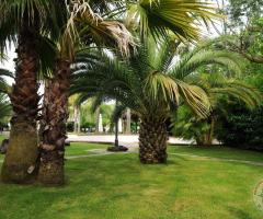 Il Capanno - Il giardino