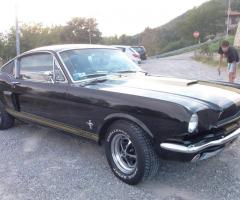Dany auto Albani - Mustang fastback v8 1965