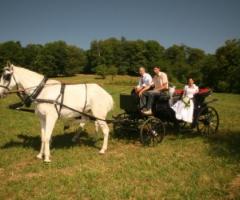 Fotografo per il matrimonio a Cuneo