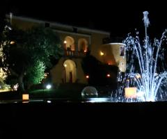 Images Moving Maria D'Angelo