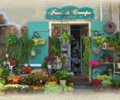 Esterno negozio - Fiori di Campo