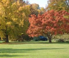 Giardino della villa per matrimoni
