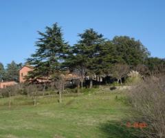 Veduta esterna della location di nozze