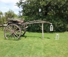 Tenuta I Massini - Allestimento country per il matrimonio