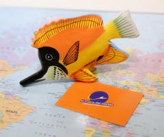 Al cuore del mondo - Viaggi di nozze a Roma