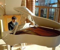 PIanoforte per la musica classica del ricevimento