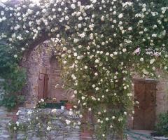 Particolare floreale della villa