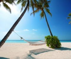 Networkitalia - Viaggio di nozze alle Maldive