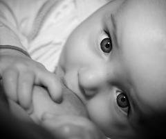 Maw foto art - La fotografia spontanea a Perugia