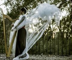 Pop Harp , arpista cantante - Alberto Tozzi Musicisti per Eventi