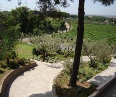 Vialetto d'ingresso a Castel de Paolis