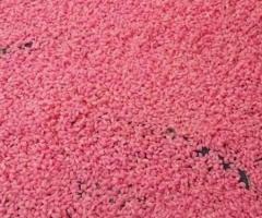 Le Chicce di Mamma Vale - Riso colorato per matrimoni