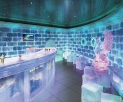 Crociera per il viaggio di nozze - Bar di ghiaccio sul mare