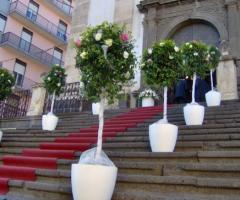Addobbi e fiori per matrimonio ad Aci Sant'Antonio (Catania) di Scalia Fiori