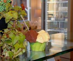 Gelateria Adèl - Gelato naturale e biologico