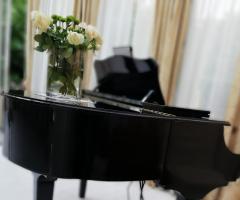 Violinista e Organista per la Cerimonia e Ricevimento - Pianista Piacenza