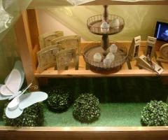 Particolare della vetrina - Il Girasole di Sandrini S.