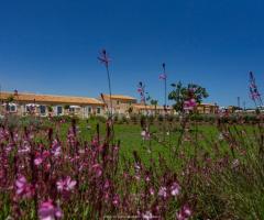 Hotel Casale Milocca - Il giardino dell'Hotel