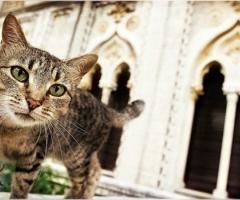 Foto in stile reportage per il matrimonio