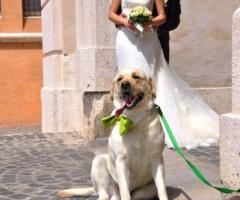 Gli sposi con il loro fido amico