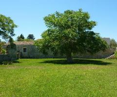 Esterno con parco per ricevimento di matrimonio presso l'Agriturismo Borgo Alveria