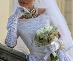 Mak Co - Tutto è pronto per le nozze