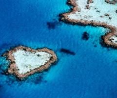 Tour operator per il viaggio di nozze - Nuova Zelanda Viaggi a Roma