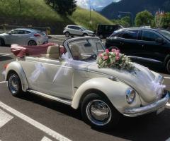 Maggiolone Cabrio - Za.Ma. Transfer FVG