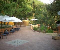 Ricevimento di matrimonio in giardino