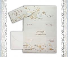 partecipazione setart