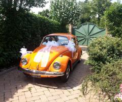 Alcuni esempi di allestimento