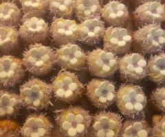 San Domenico - Catering di dolci decorati