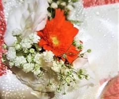 Fiori d'Autore by Cleme - Un boom di colore