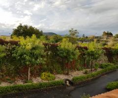 Boutique di Charme - Una vista dell'Etna