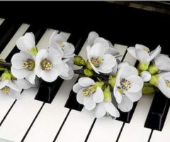 Roby Lay violinista soprano organista - Musica per il matrimonio