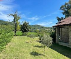 Tenuta San Lorenzo 6