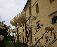 Facciata principale del salone di Villa Abbazia di Busco