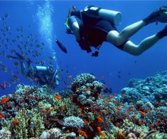 Sessione di diving durante il viaggio di nozze