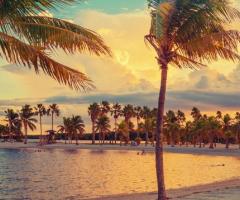 Daniele Tudino Agenzia Viaggi -Viaggi di nozze a Miami