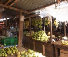 Daniela Ferrarini Consulente per viaggiare - Mercato a Zanzibar