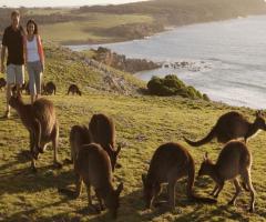Roberto Di Francesco Consulente CartOrange - Kangarro Island - Australia