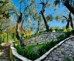 Il giardino dell'hotel