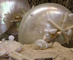 Bomboniere Linea Conchiglie in madreperla - Greta Bomboniere a Roma