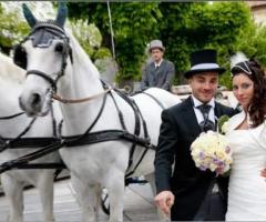 Nozze da favola - Tutti i servizi per il matrimonio